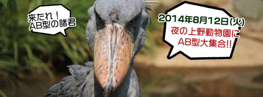 夜の上野動物園で第2回のAB型飲み会開催しました