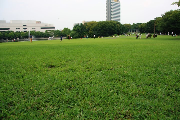 多摩地域のネットショップの開設・改善を目指す「EC多摩カフェ」キックオフ