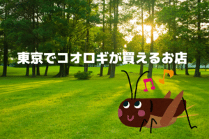 コオロギ 生き餌を買える通販ネットショップまとめ コオロギ 生き餌を買える通販ネットショップまとめ