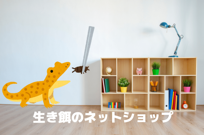 コオロギ・生き餌を買える通販ネットショップまとめ