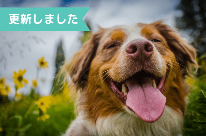 初心者や未経験の方が動画制作を仕事として請け負う場合の契約の注意として